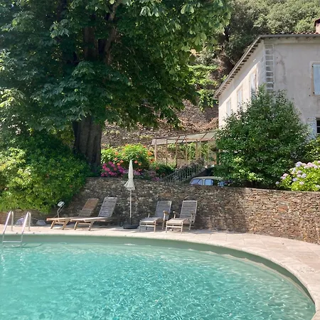 Le Cocon Au Clarou * Valleraugue