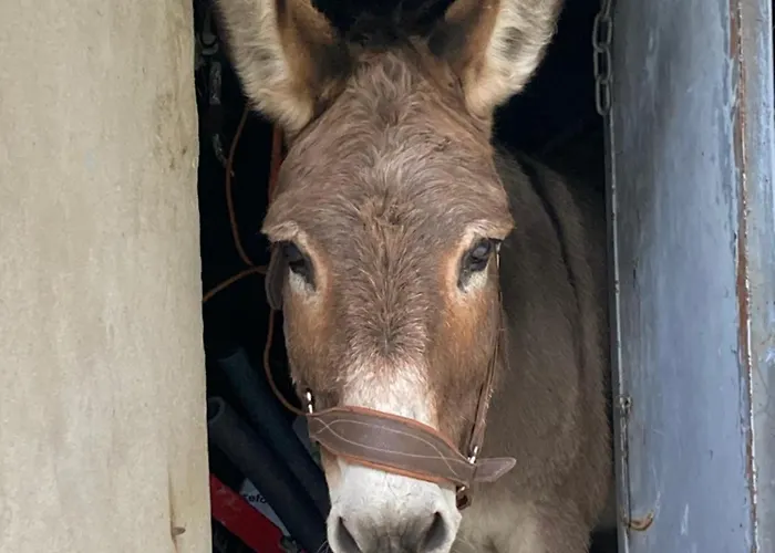Le Cocon Au Clarou Casa de Férias *